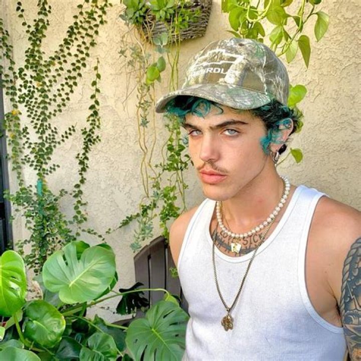 Kai Carlton Wiki, Bio, Age, Height, Partner, Instagram, Net Worth