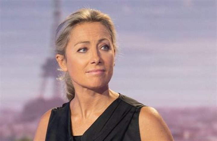 Qui Est Le Père Des Fils De Anne-Sophie Lapix